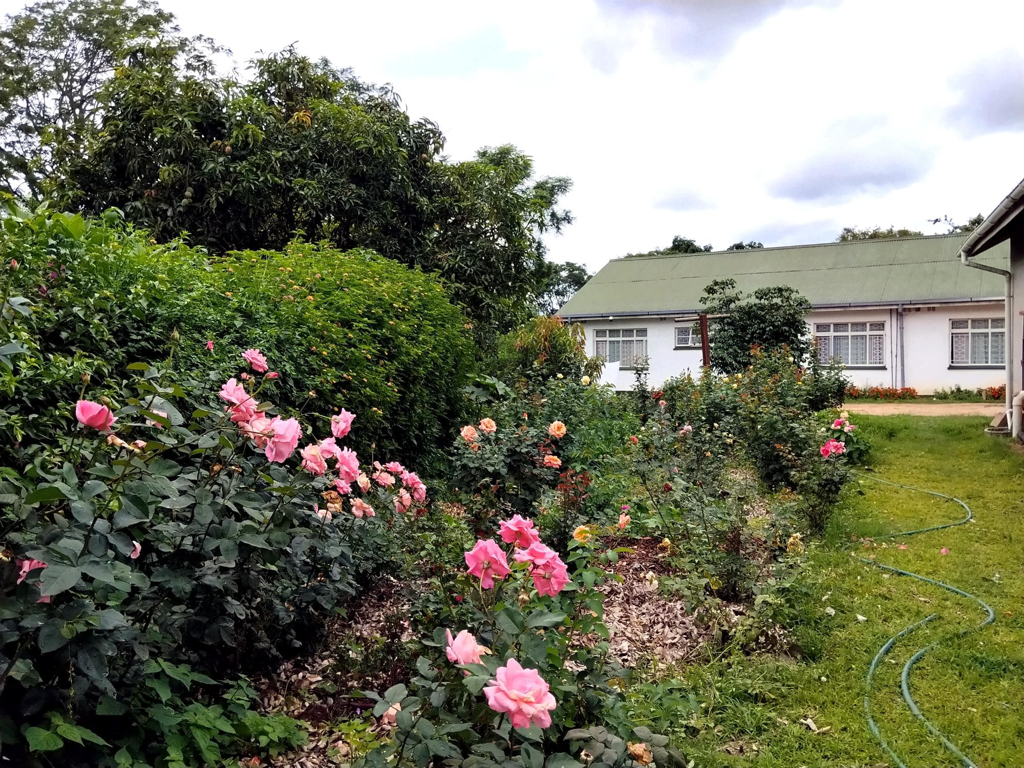 Property view 1