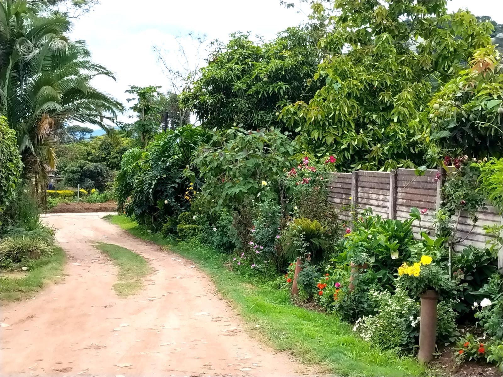 Property view 3