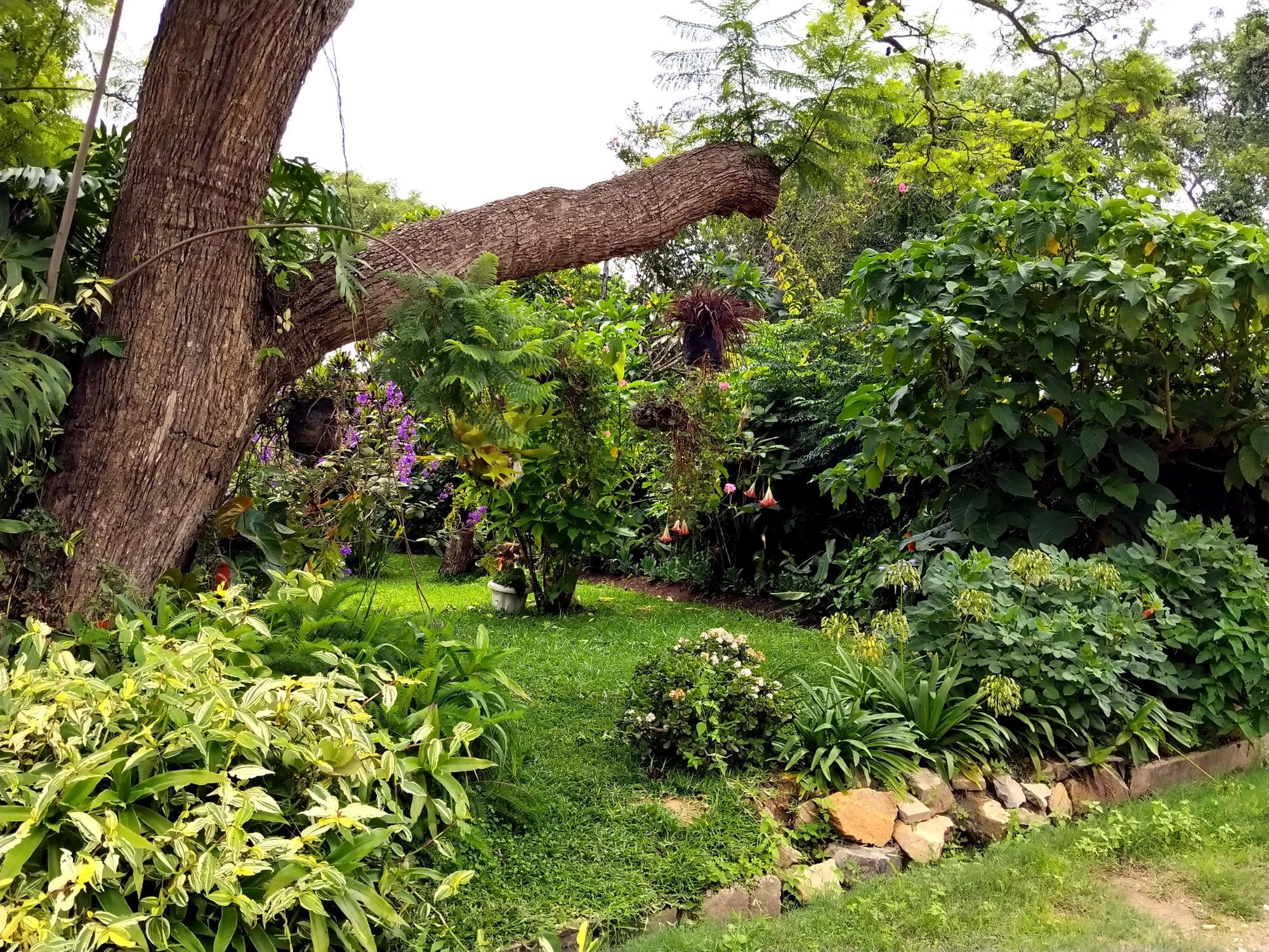 Property view 4